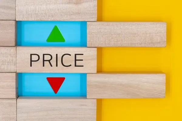 Dynamic Pricing in E-commerce: Real-Time Strategies for a Dynamic Shopping Experience