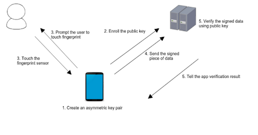 biometric-working